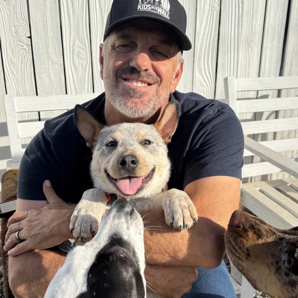 Enlarge Dusty, a Adoptable Cattle Dog in San Diego, CA image 3/6