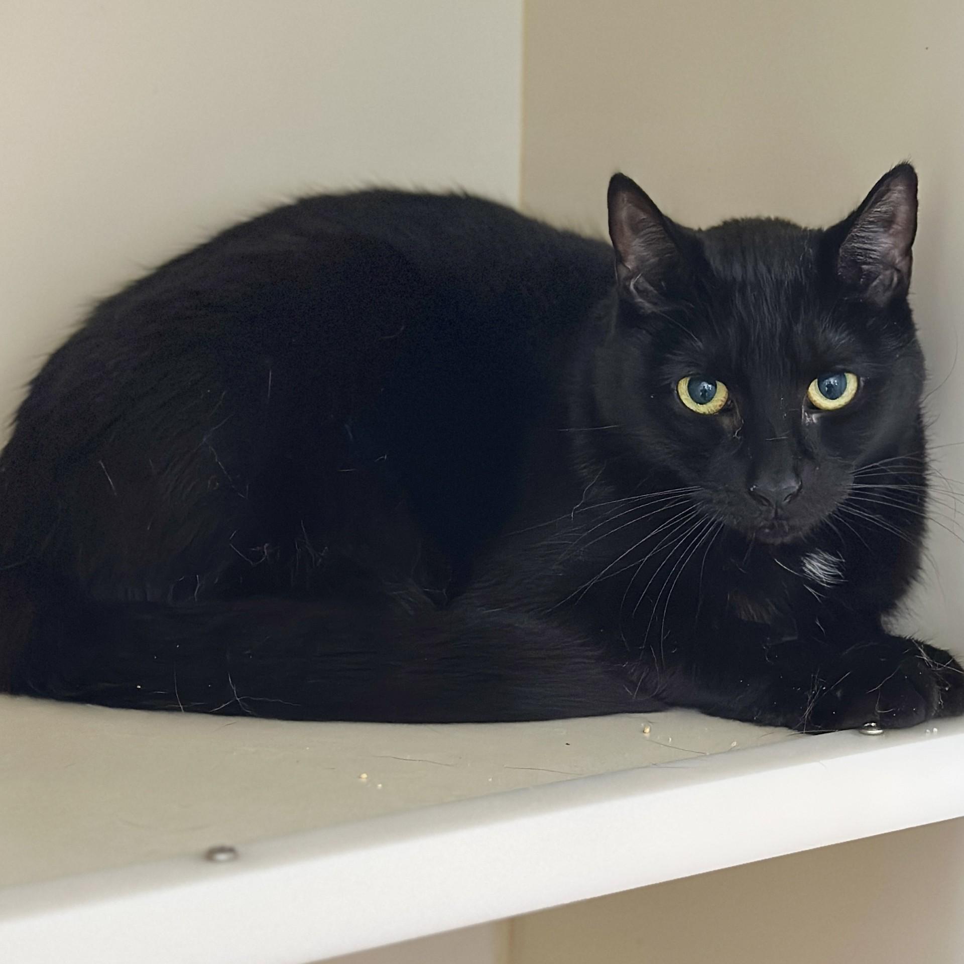 Taru — thumbnail 3