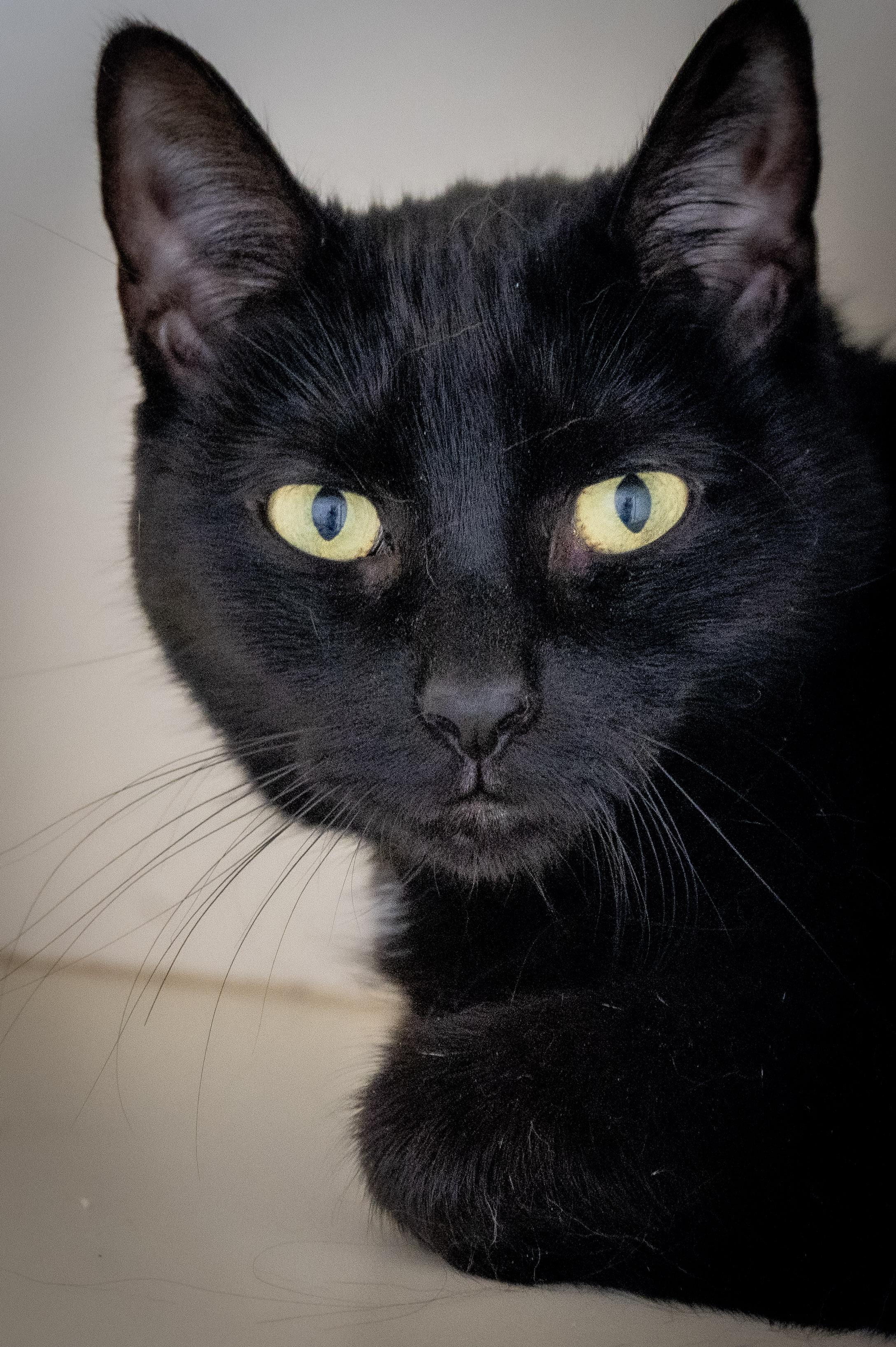 Taru — thumbnail 4