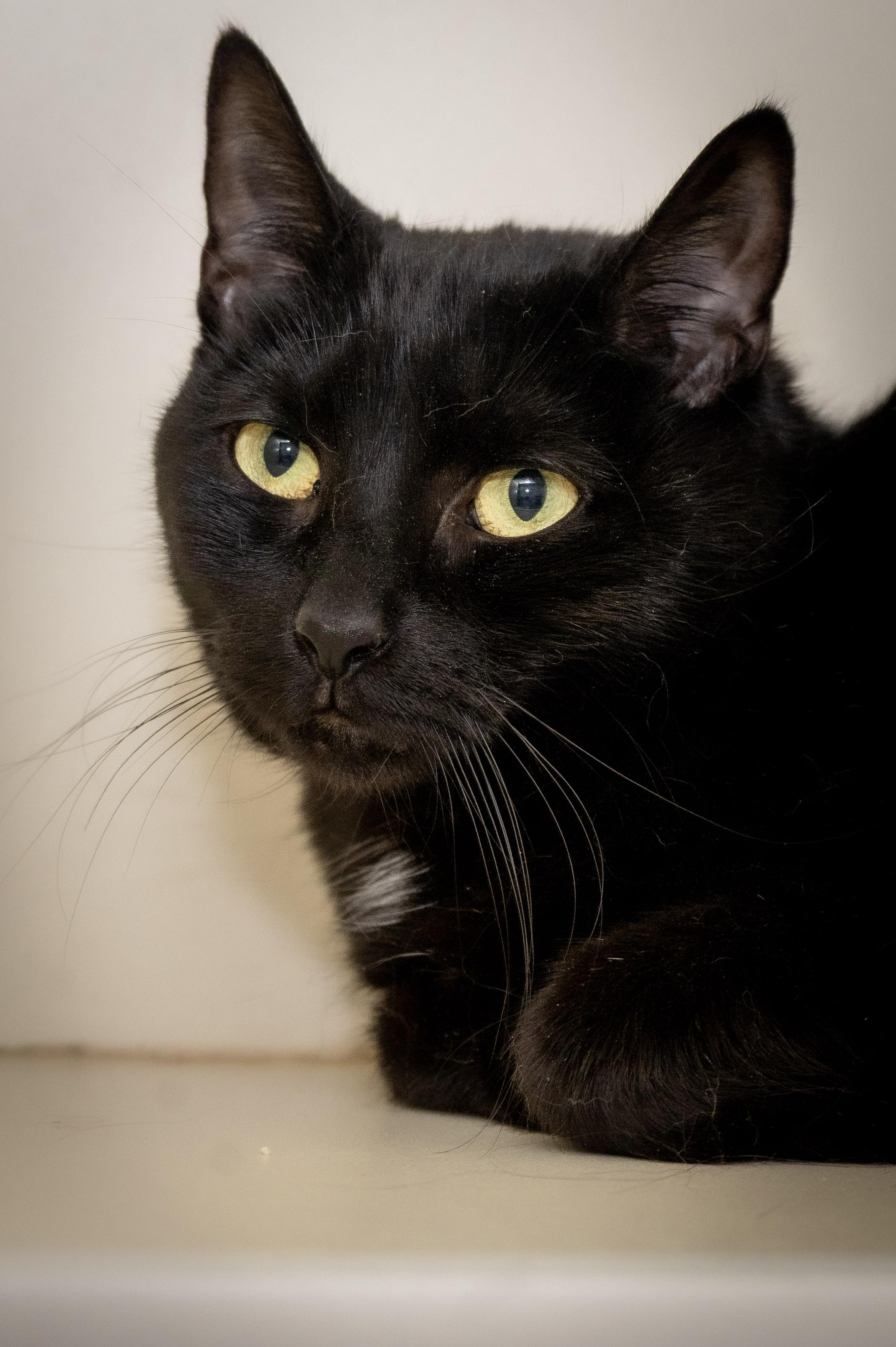 Taru — thumbnail 5