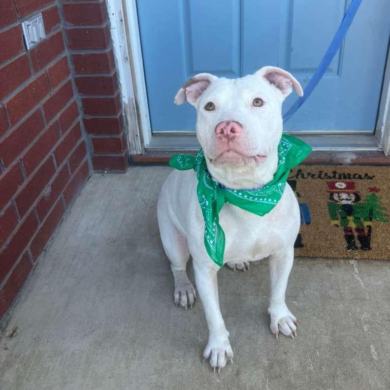 Sandy — thumbnail 6