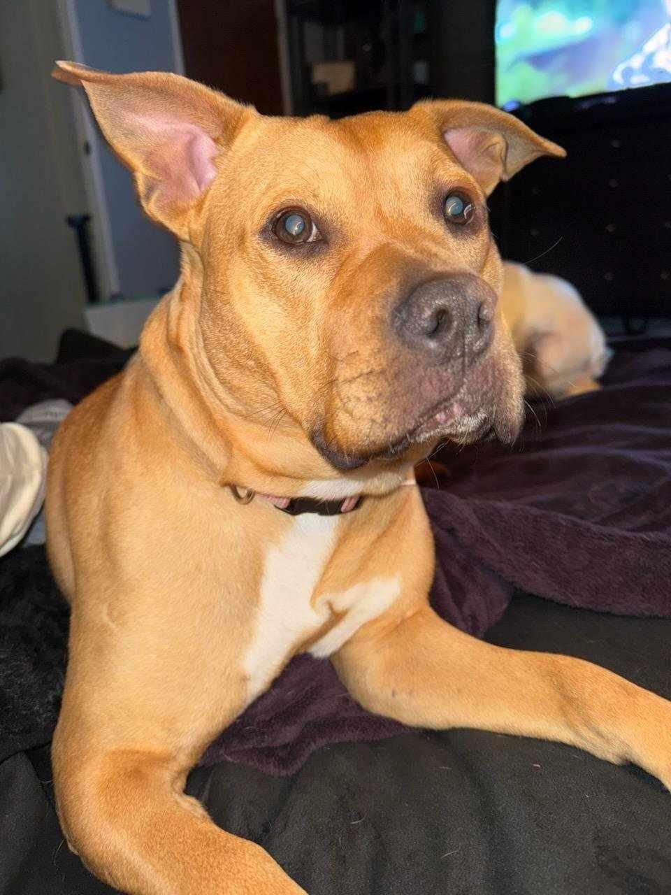 Jynx — thumbnail 4