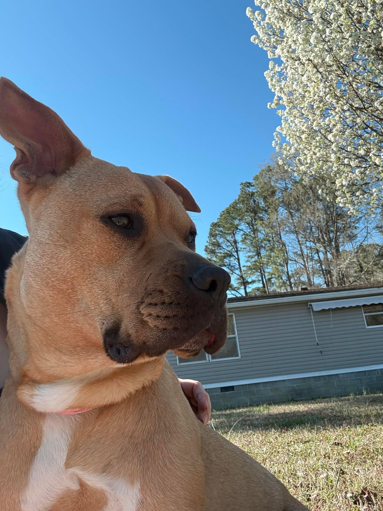 Jynx — thumbnail 6