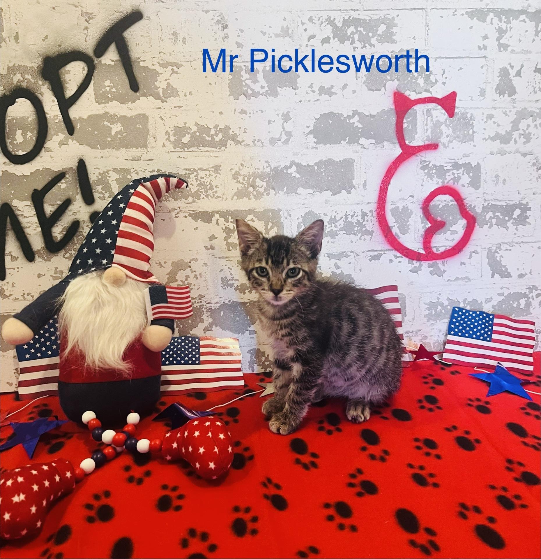 Mr. Pickles