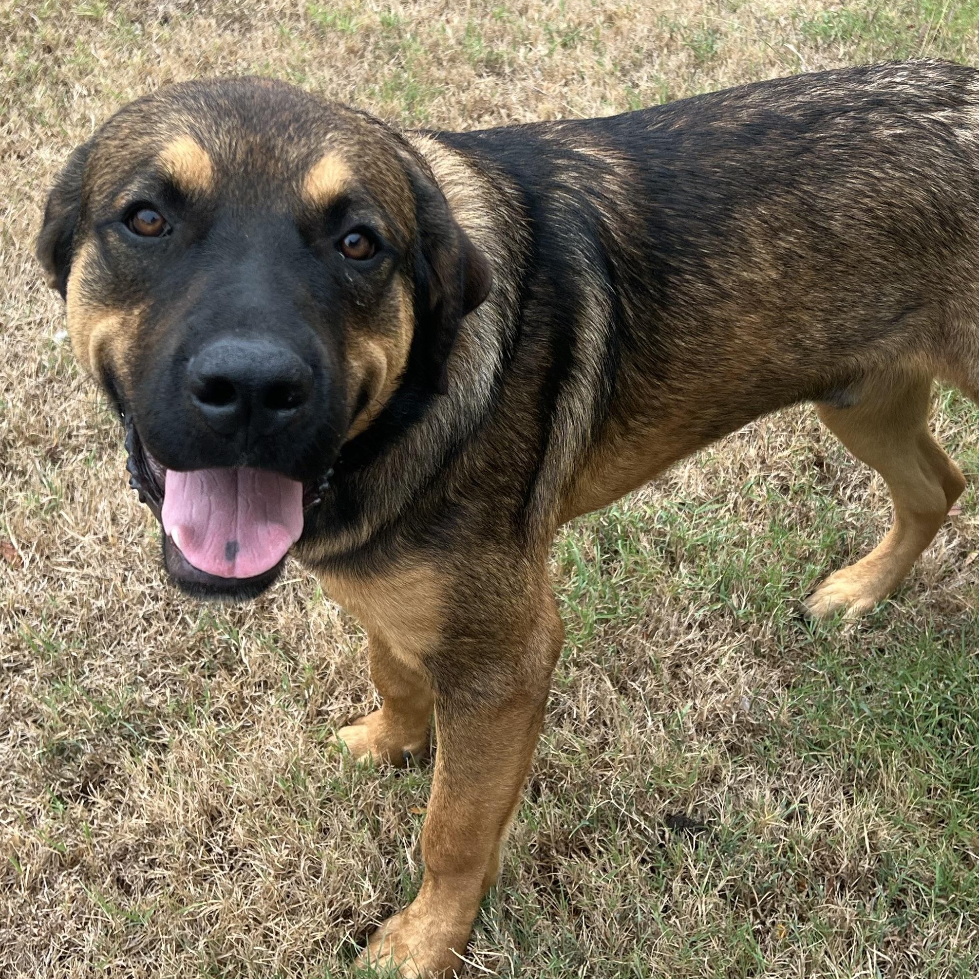 Marco