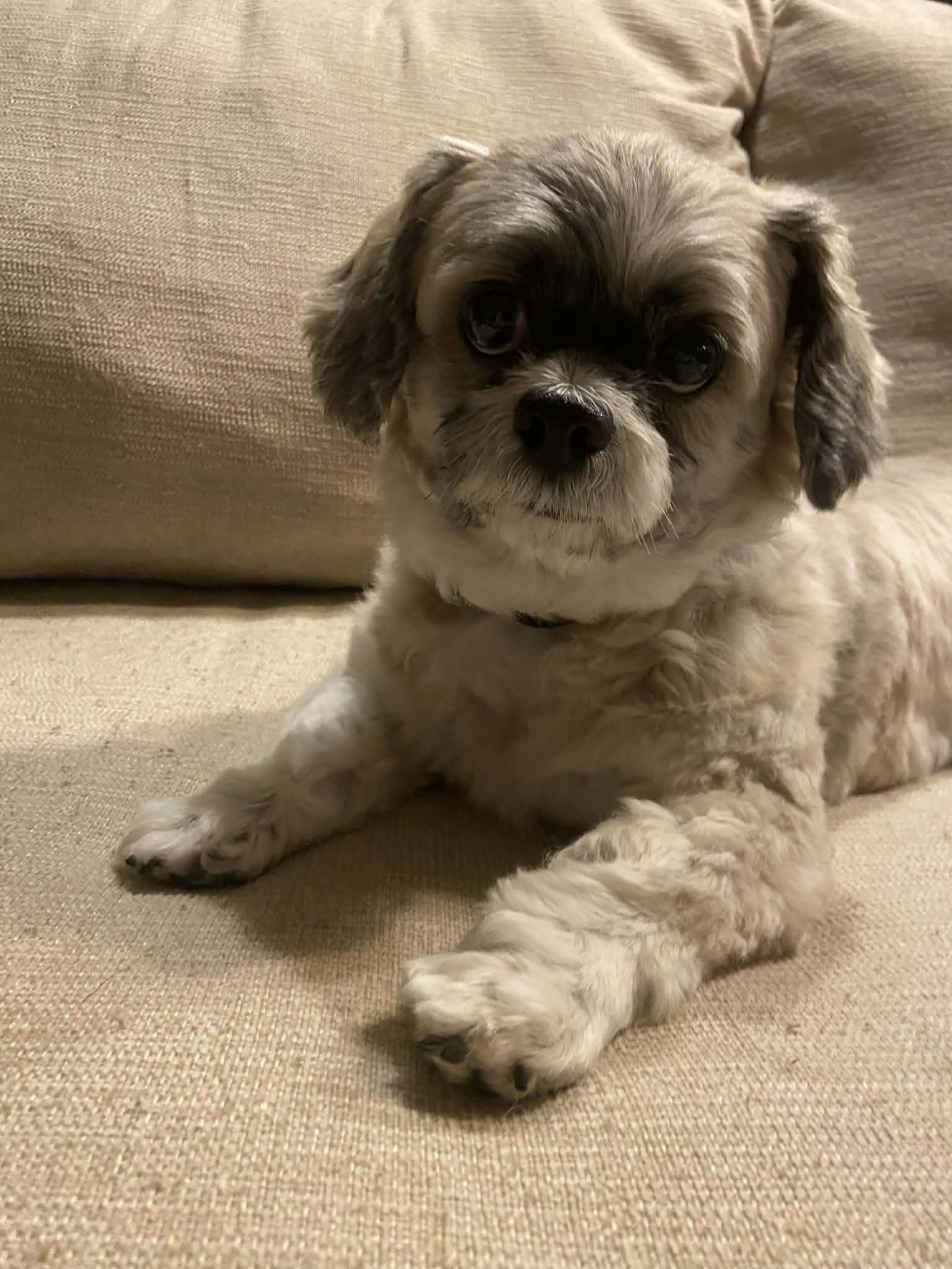 Lou Lou Belle thumbnail 5