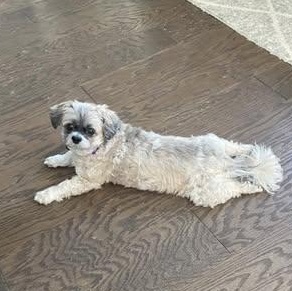 Lou Lou Belle thumbnail 6