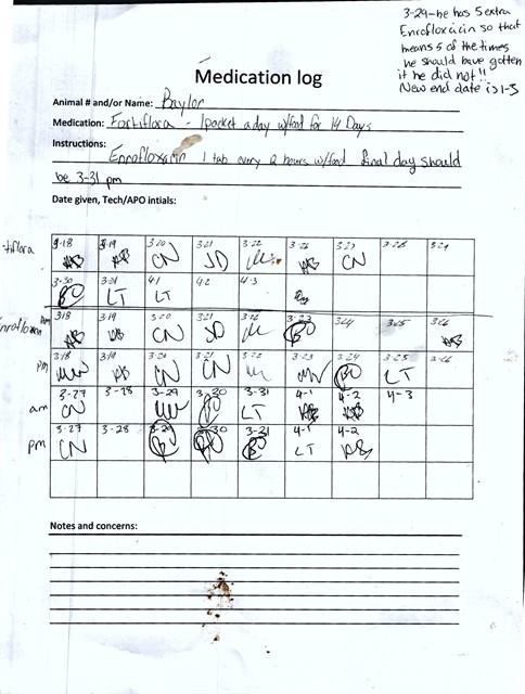 Enlarge BAYLOR, a Adoptable Labrador Retriever in Casper, WY image 1/1