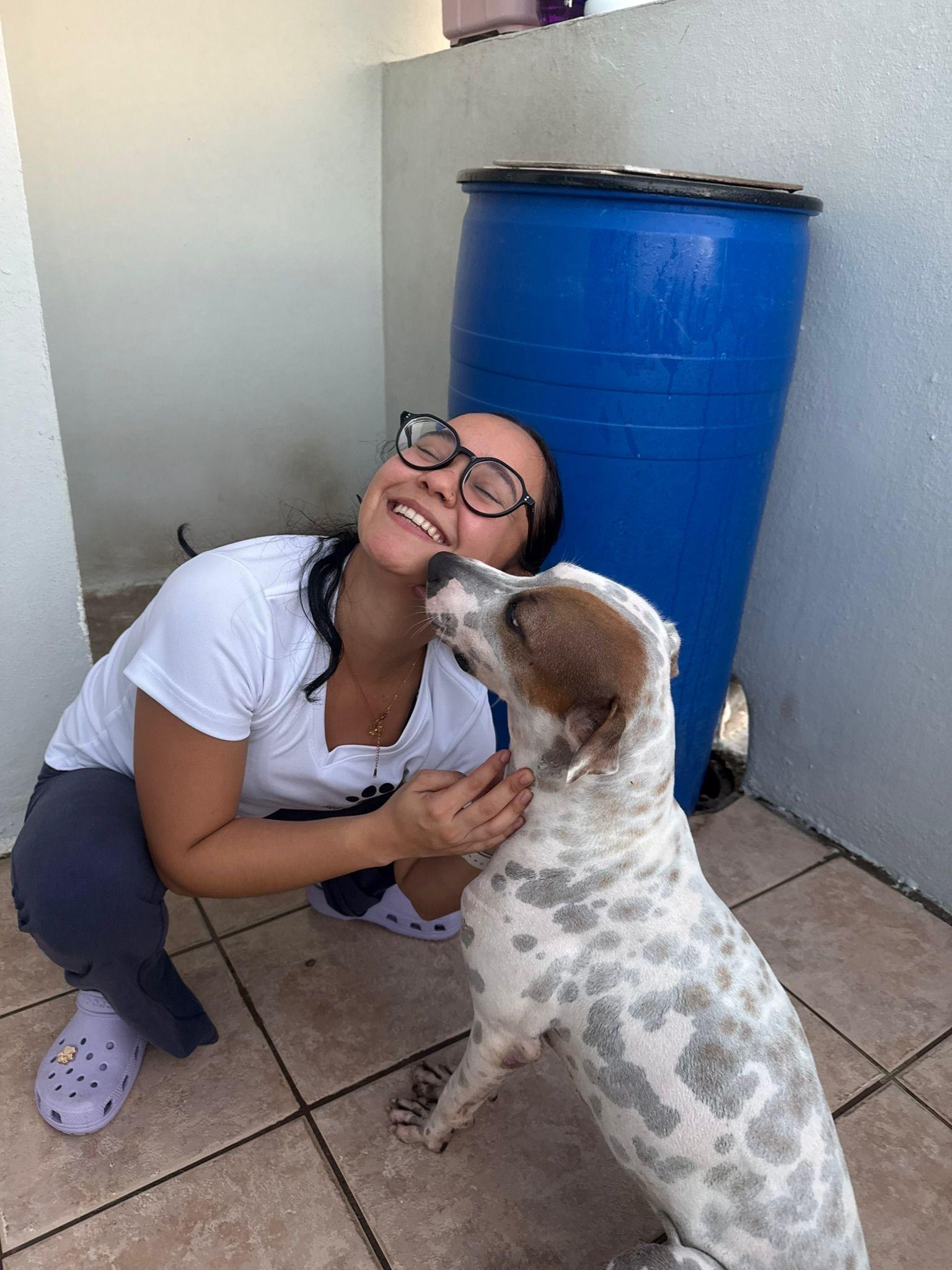 Enlarge PETEY, a Adoptable mixed breed in Washington, DC image 3/6