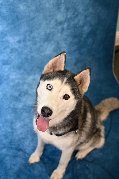 Everest — thumbnail 6