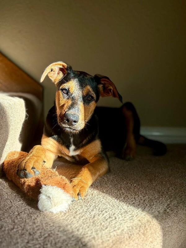 Maple Portillo — thumbnail 4