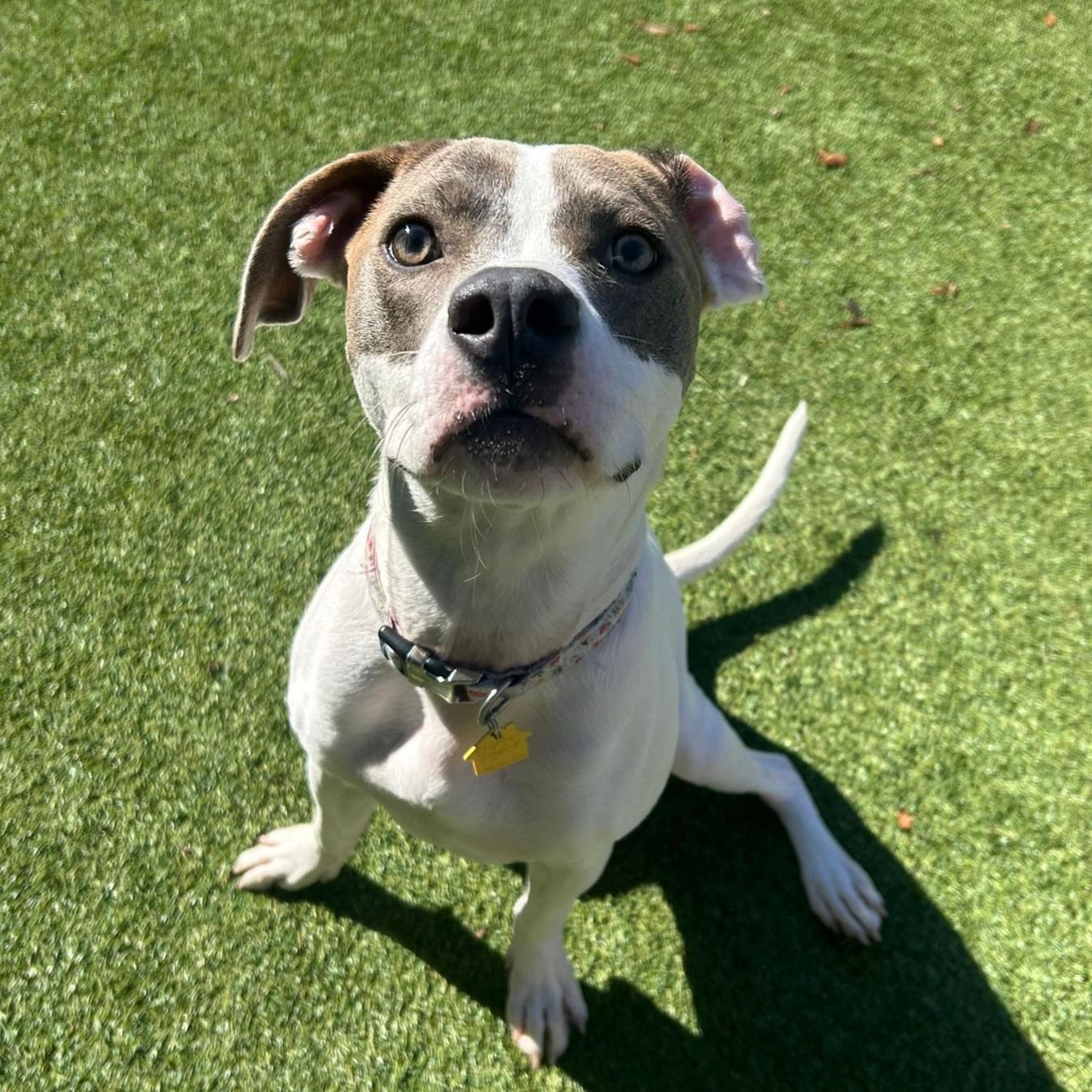 Honey — thumbnail 5