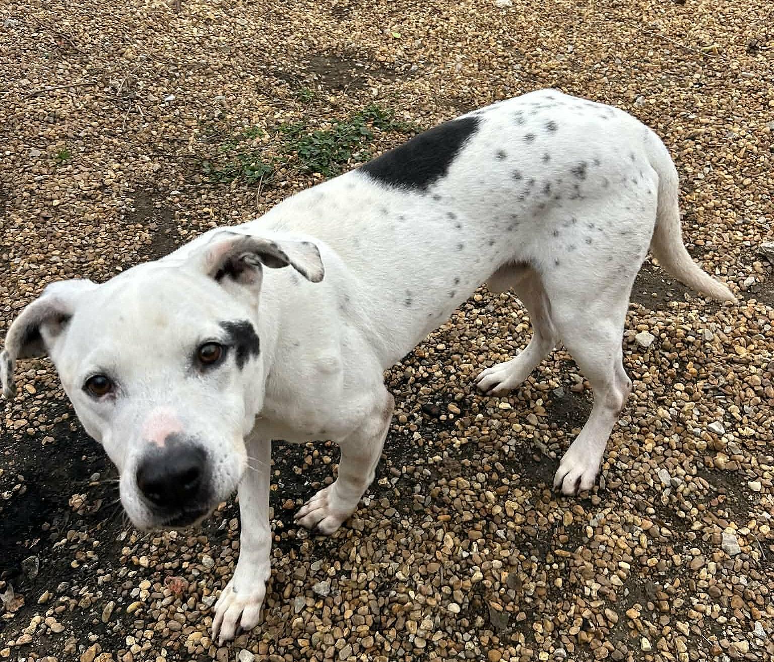 Marley — thumbnail 2