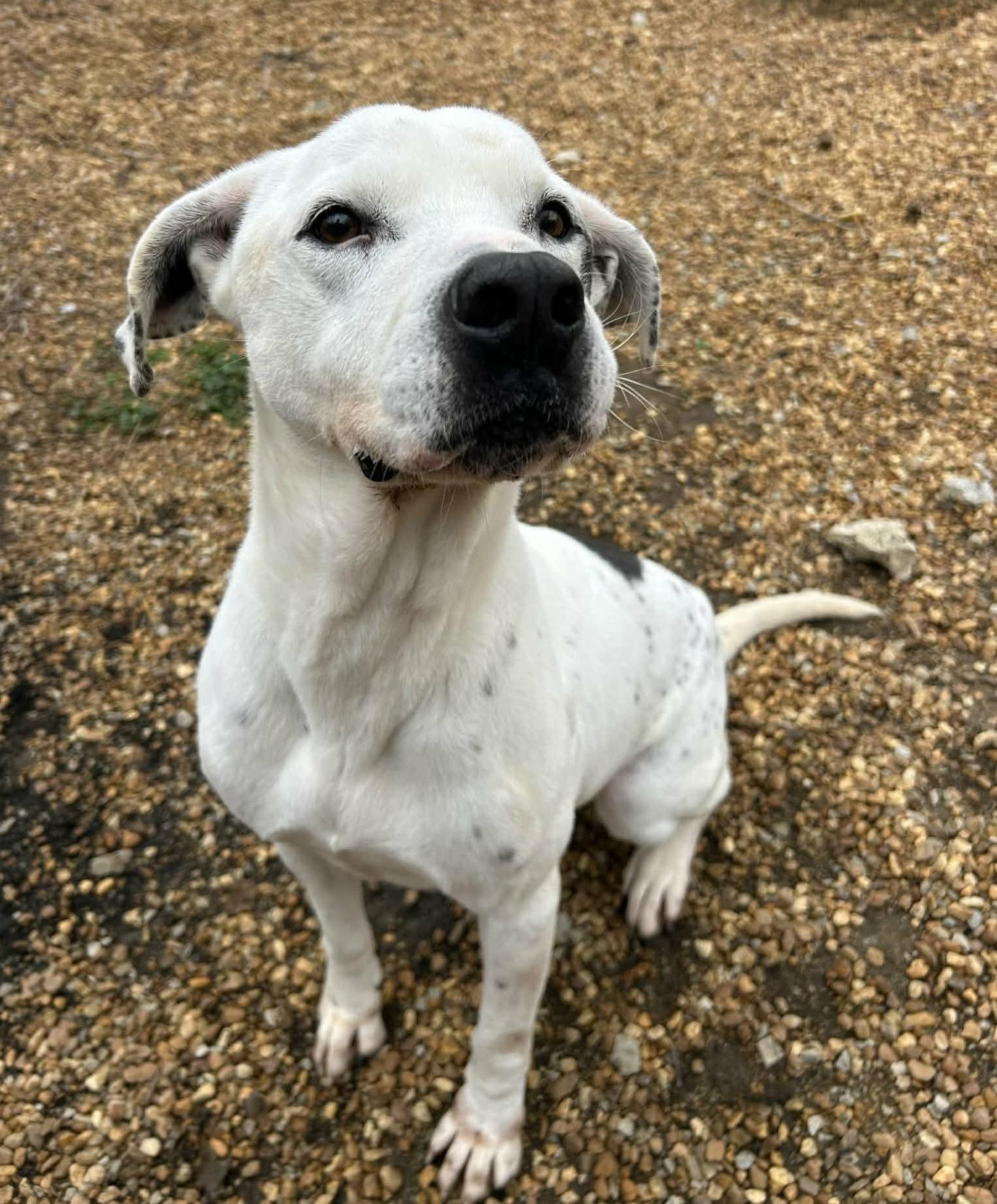 Marley — thumbnail 4