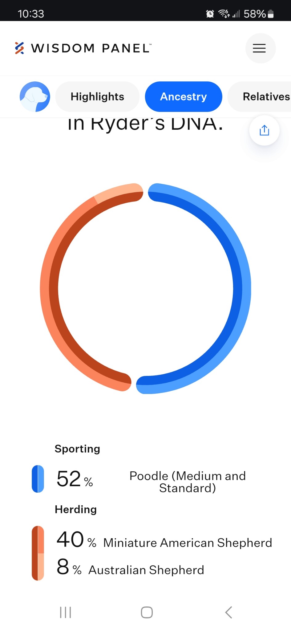 Enlarge Ryder, a Adopted mixed breed in Greenville, SC image 5/5