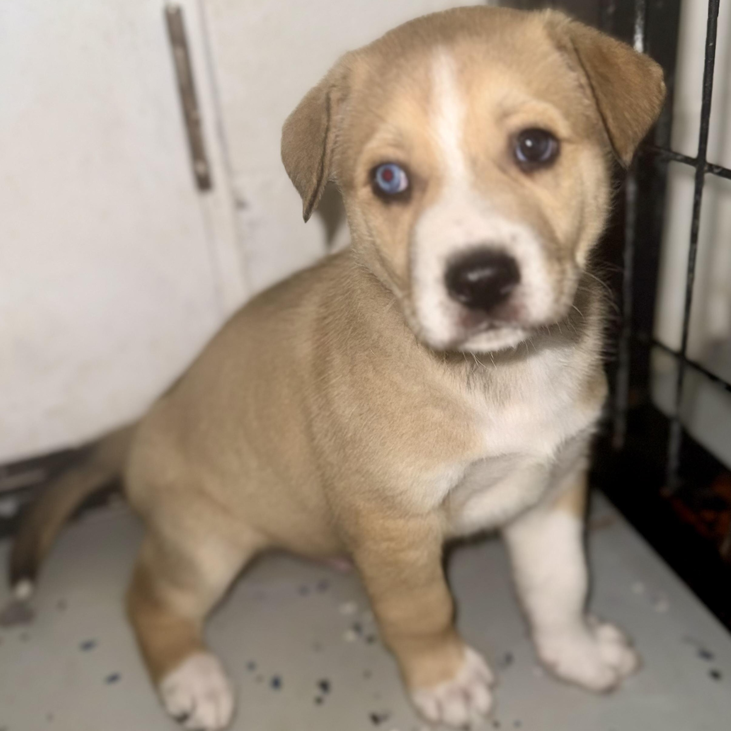 Leif — thumbnail 4