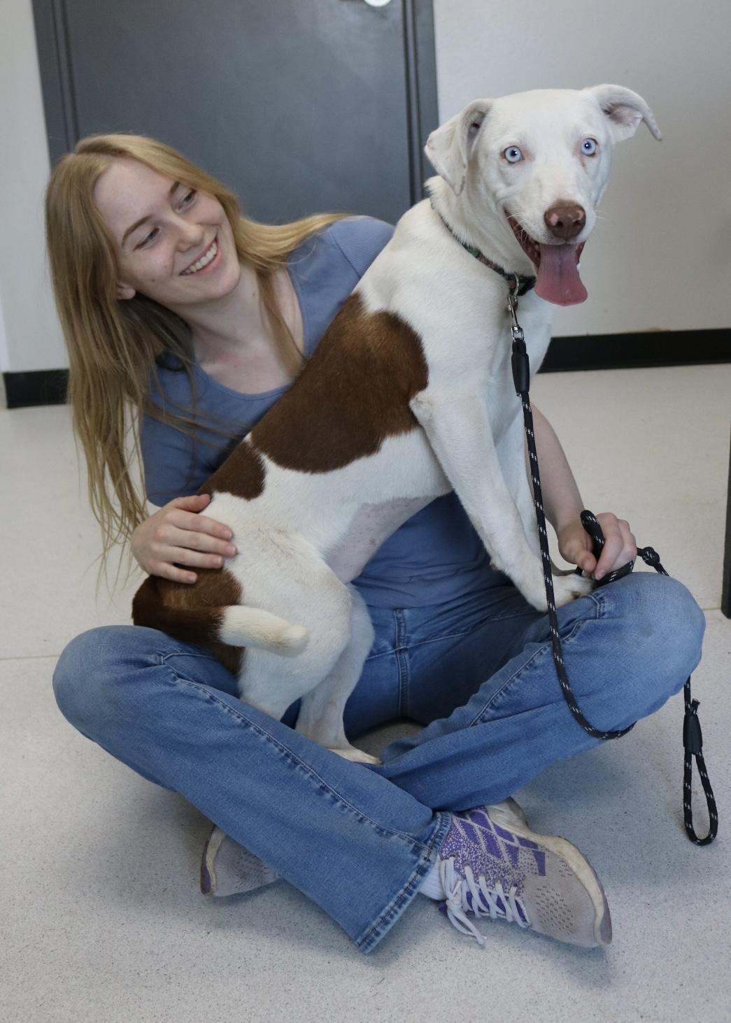 Enlarge Revere, an adopted mixed breed in La Grande, OR image 3/5