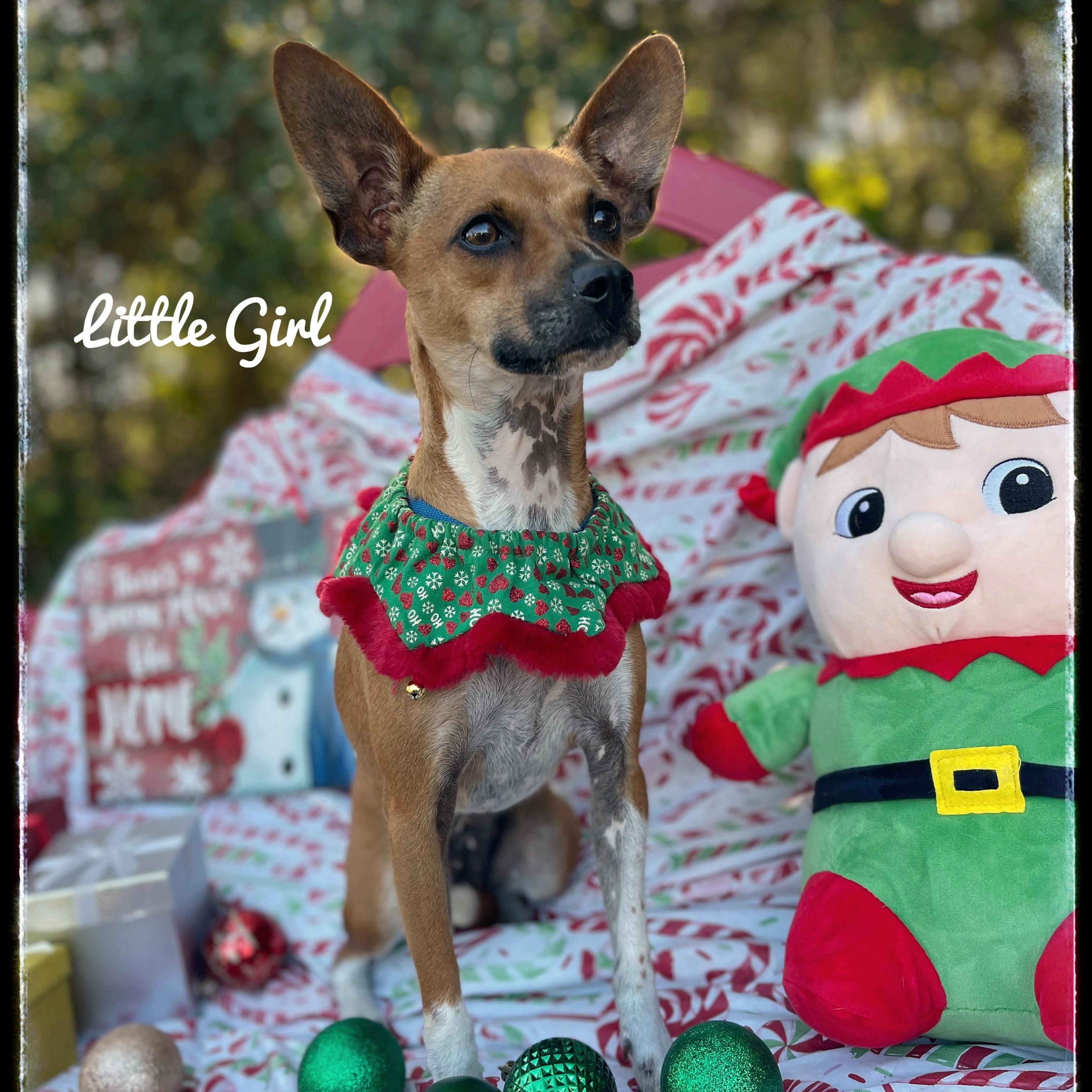 Little Girl thumbnail 2