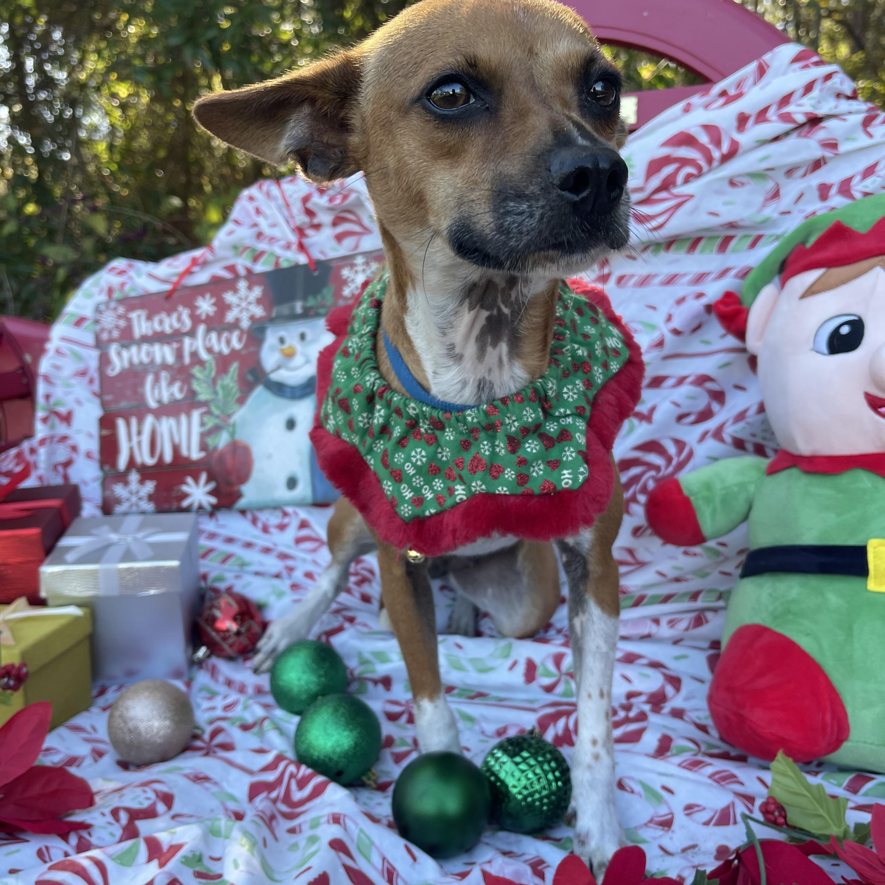 Little Girl thumbnail 3