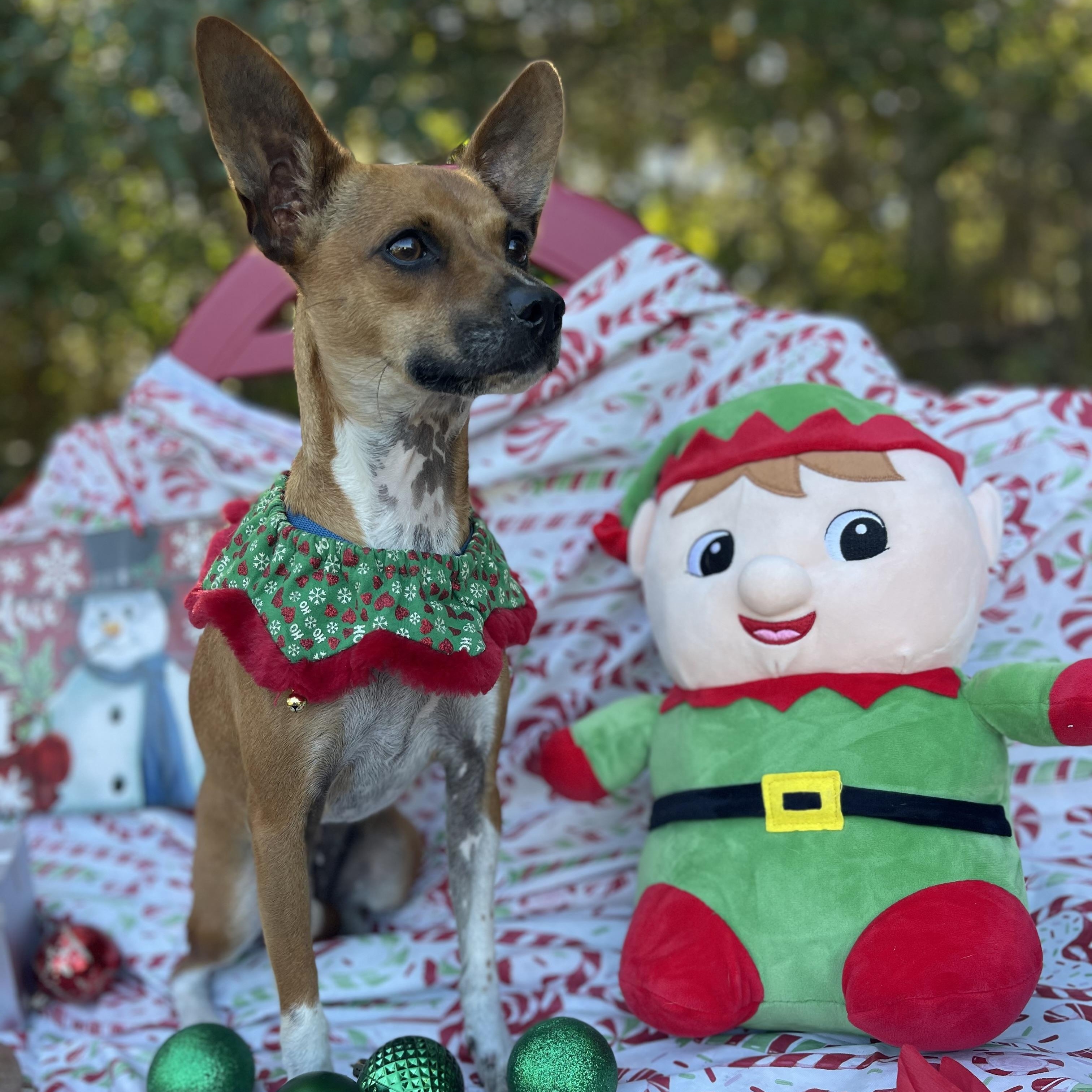 Little Girl thumbnail 4