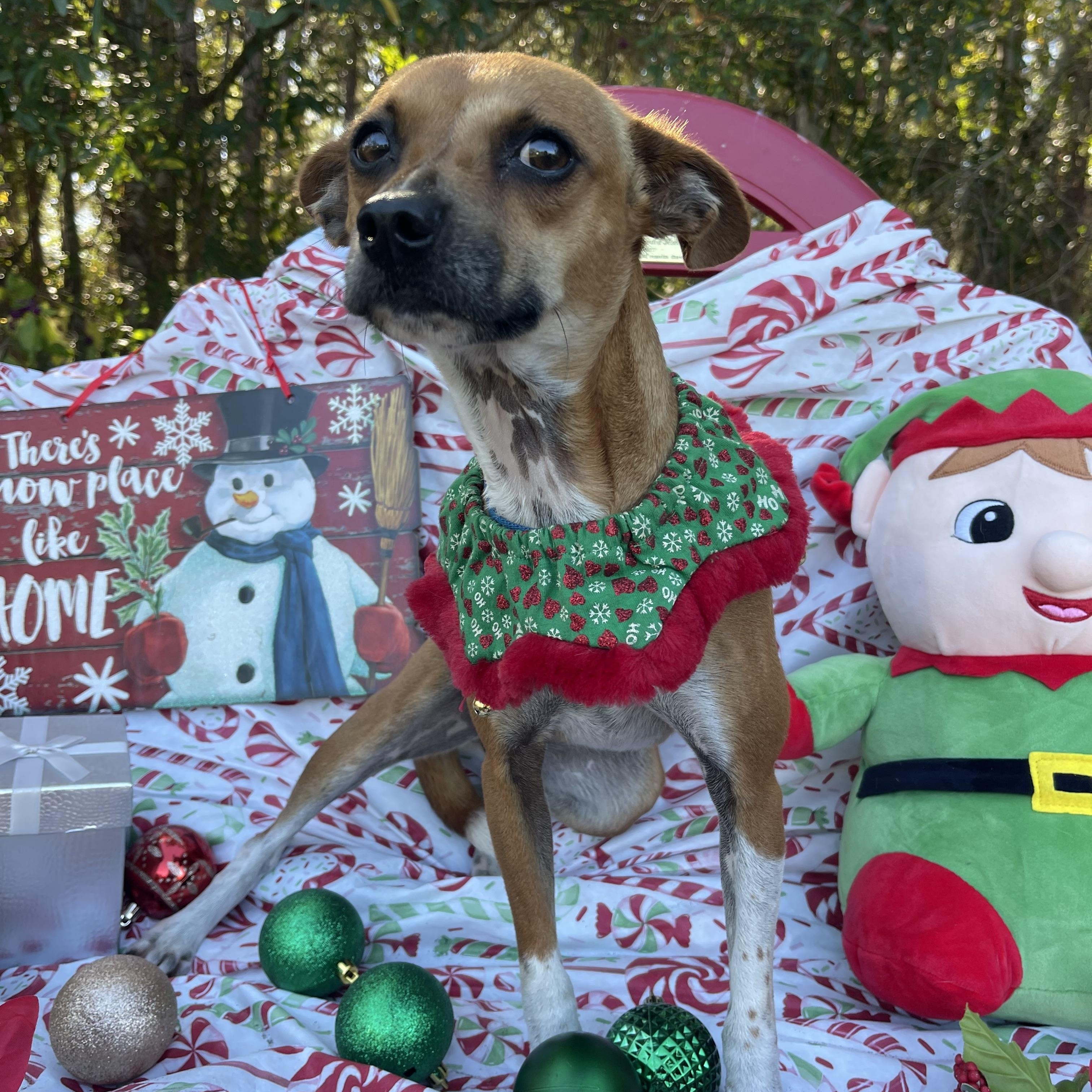 Little Girl thumbnail 5