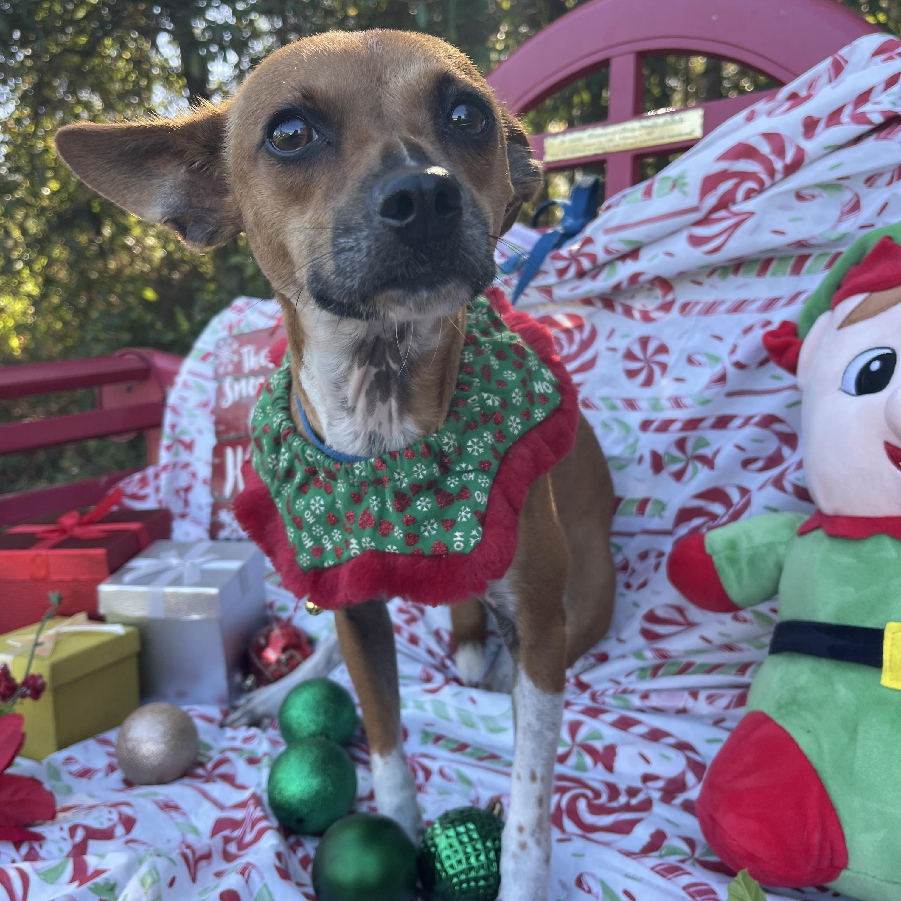 Little Girl thumbnail 6