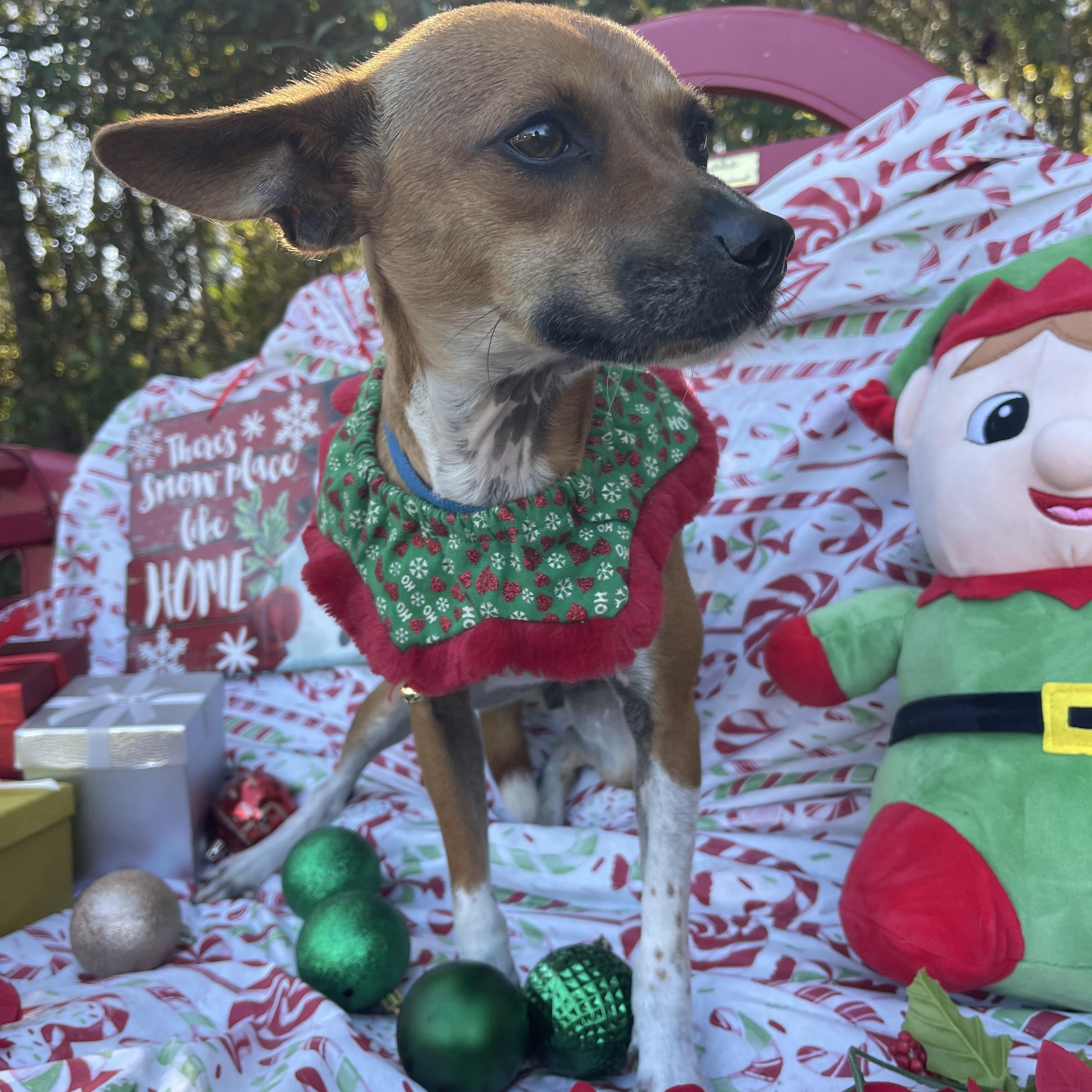 Little Girl thumbnail 7