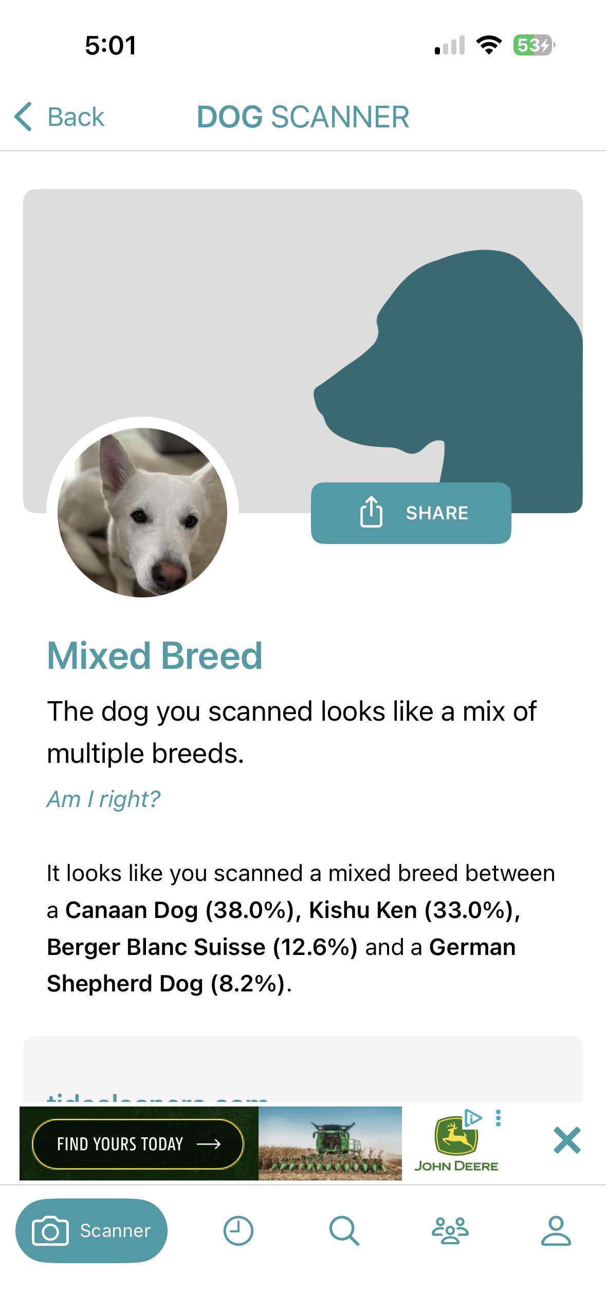 Enlarge Riley, a Adoptable mixed breed in Torrance, CA image 6/6