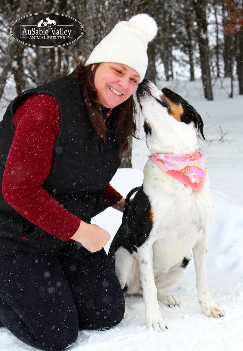 Hershey, a ADOPTABLE Mixed Breed in Grayling, MI image 6/6
