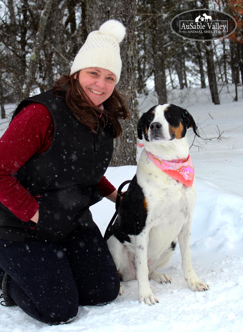 Hershey, a ADOPTABLE Mixed Breed in Grayling, MI image 5/6