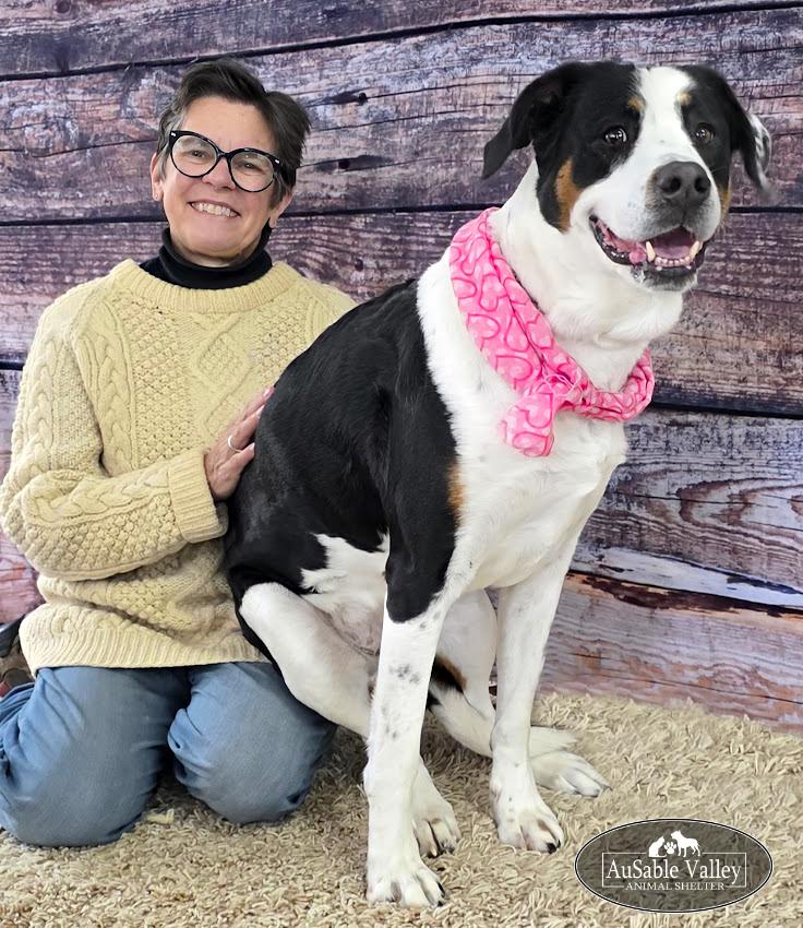 Hershey, a ADOPTABLE Mixed Breed in Grayling, MI image 2/6