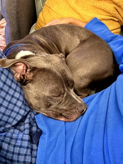 Ghost — thumbnail 3