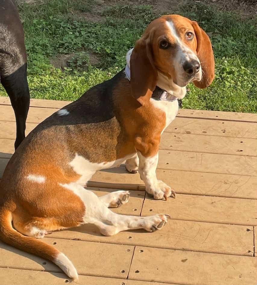 Ellie