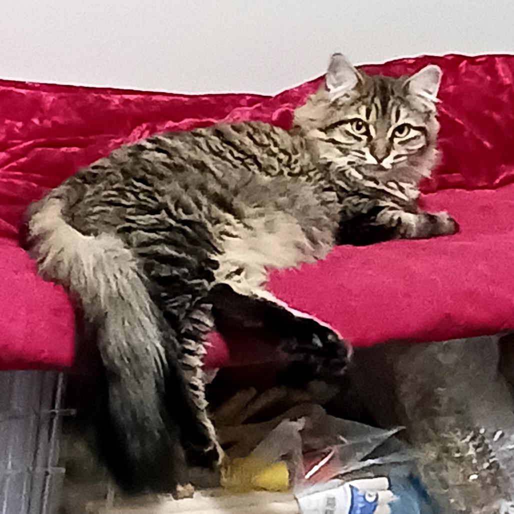 Storm — thumbnail 2