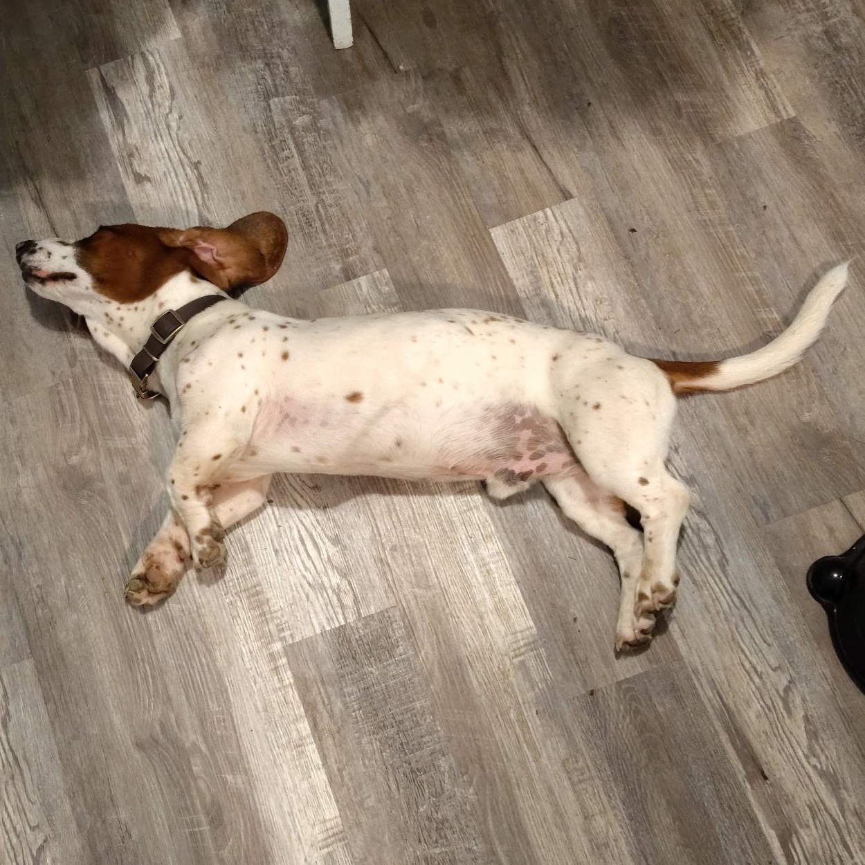 Copper
