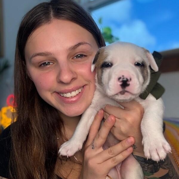 Bay Bridge — thumbnail 5