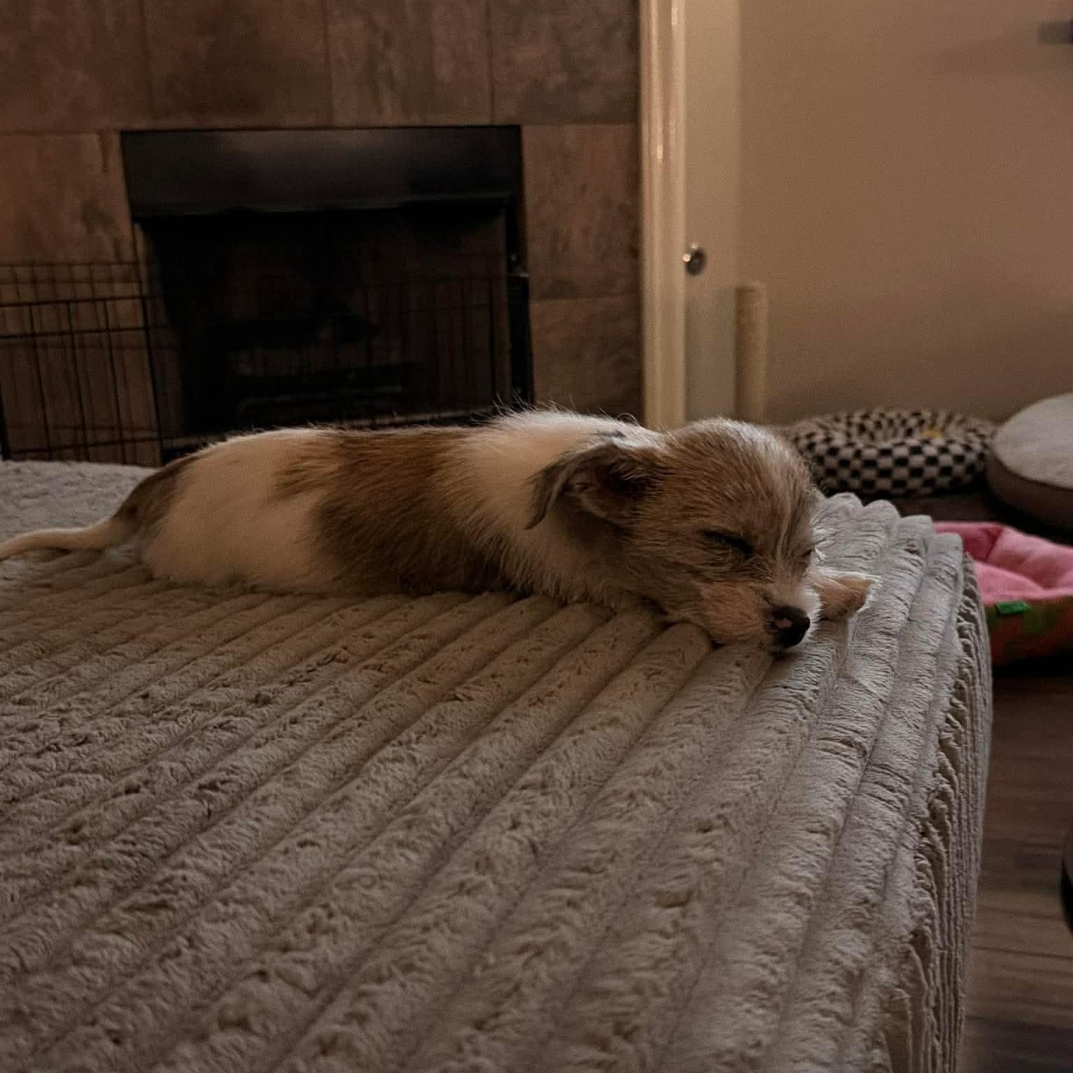 Rachel — thumbnail 5