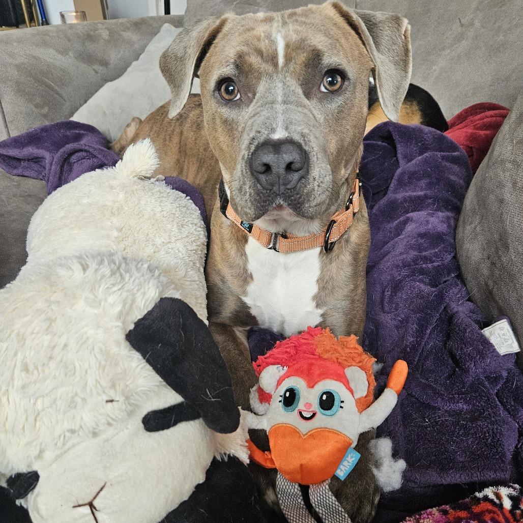 Grant-Foster — thumbnail 2