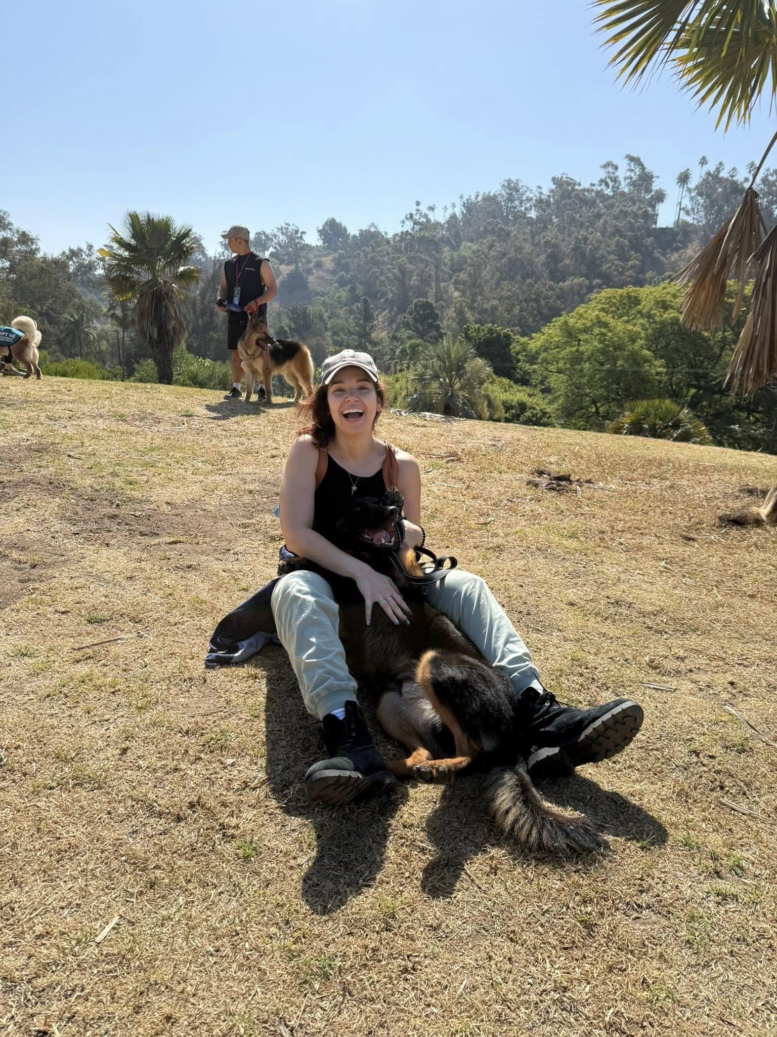 Enlarge Onyx von Oelsnitz", a Adoptable German Shepherd Dog in Los Angeles, CA image 4/6