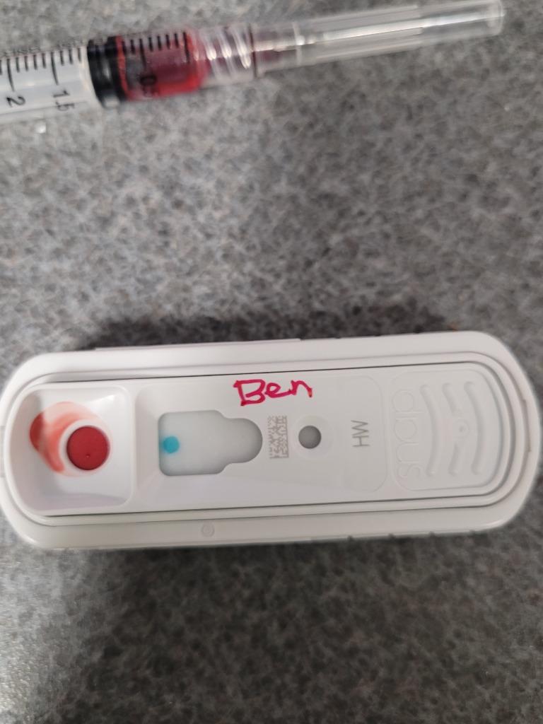 Enlarge Ben, a Adoptable mixed breed in Hopkinsville, KY image 3/6