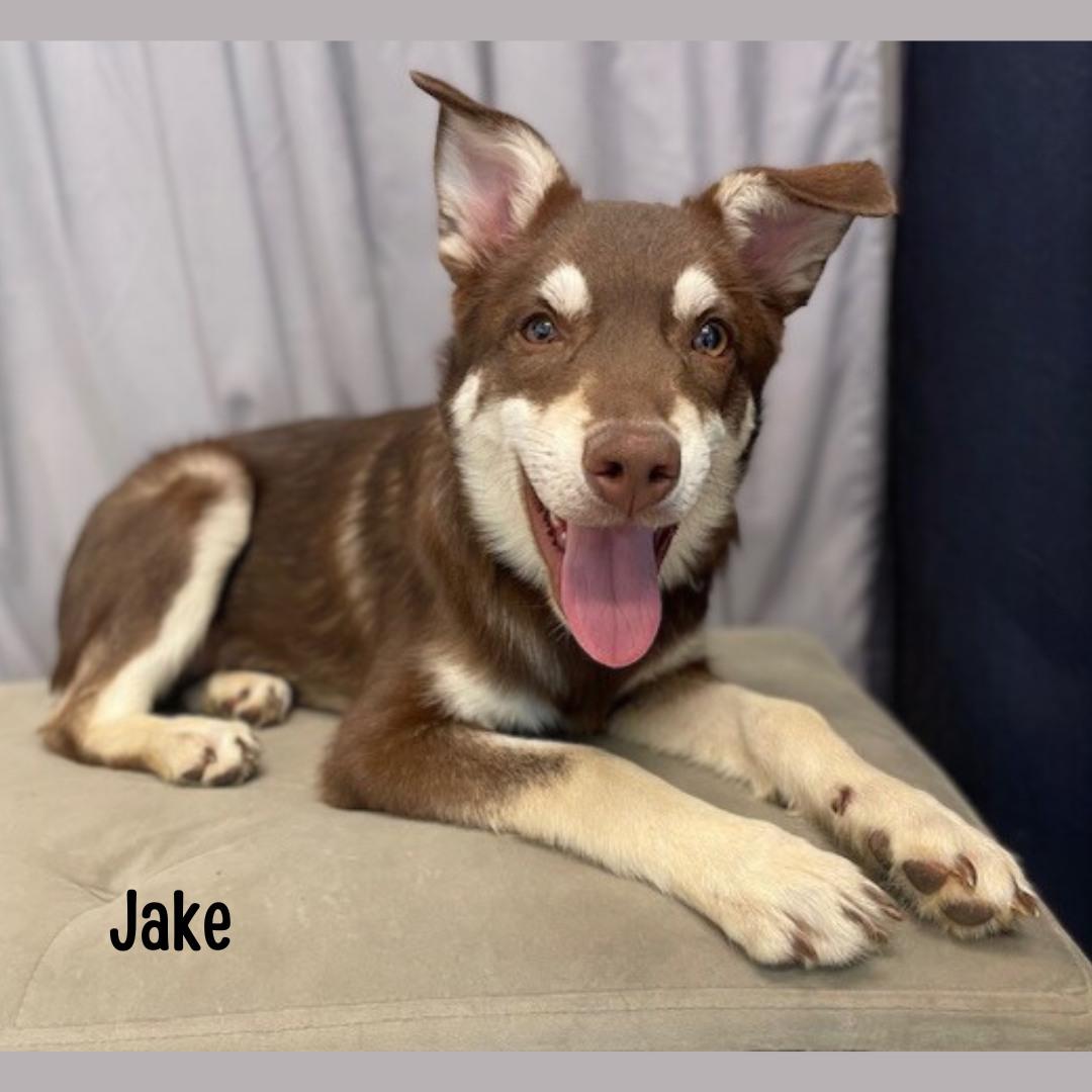 Jake
