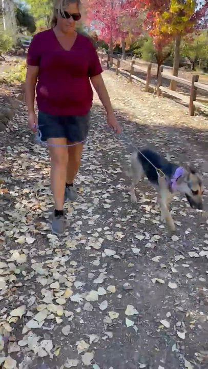 Enlarge Lucy Goosey, a Adoptable mixed breed in Temecula, CA video 4/6