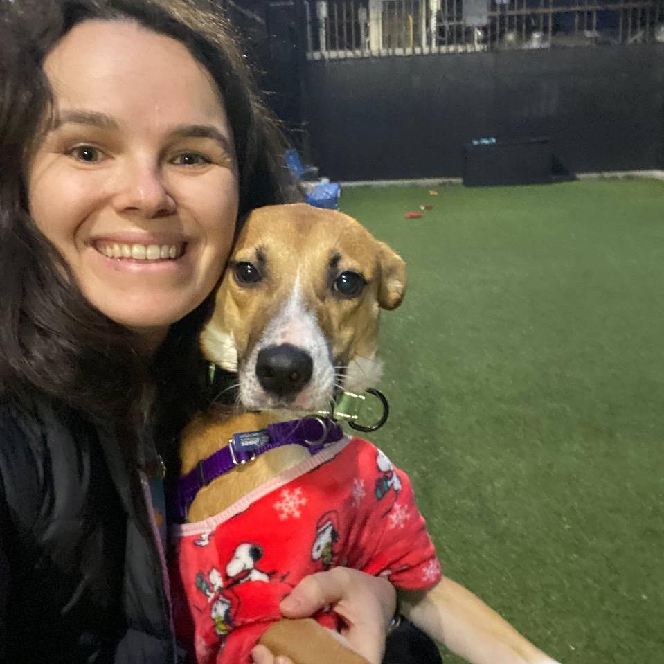 Enlarge Hannah, a Adoptable Mixed Breed in Westhampton, NY image 5/5