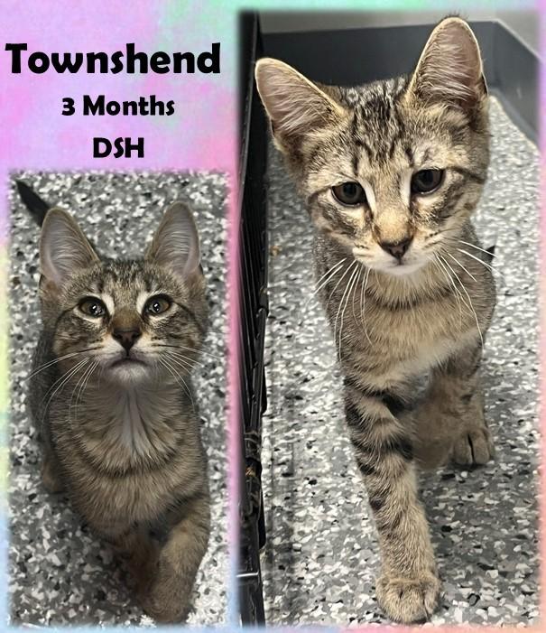 Townshend