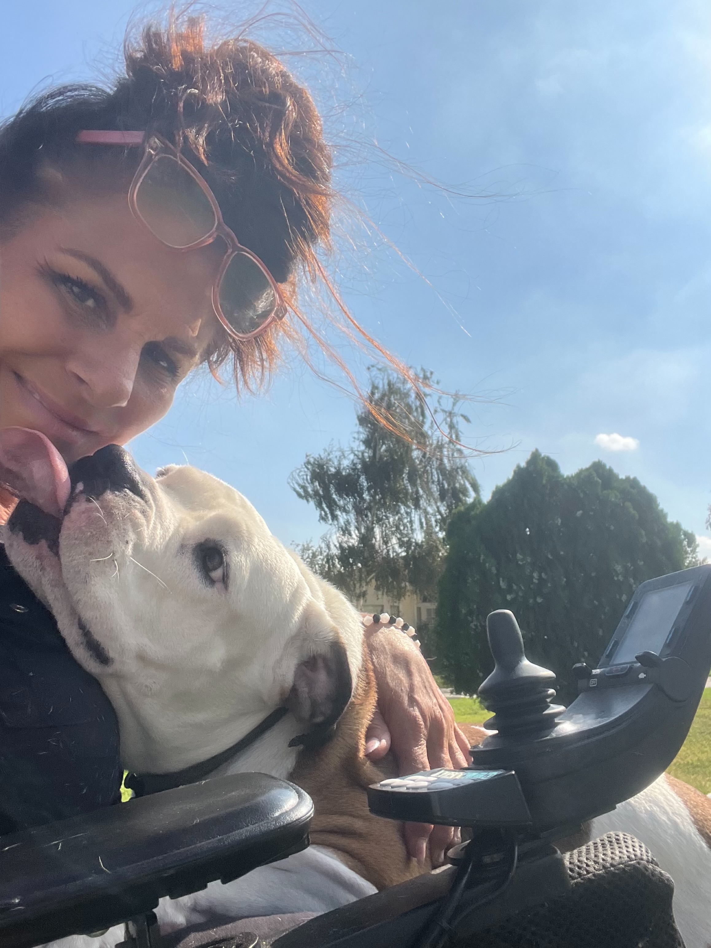 Gabbie, a Adopted mixed breed in Cool, CA image 3/6