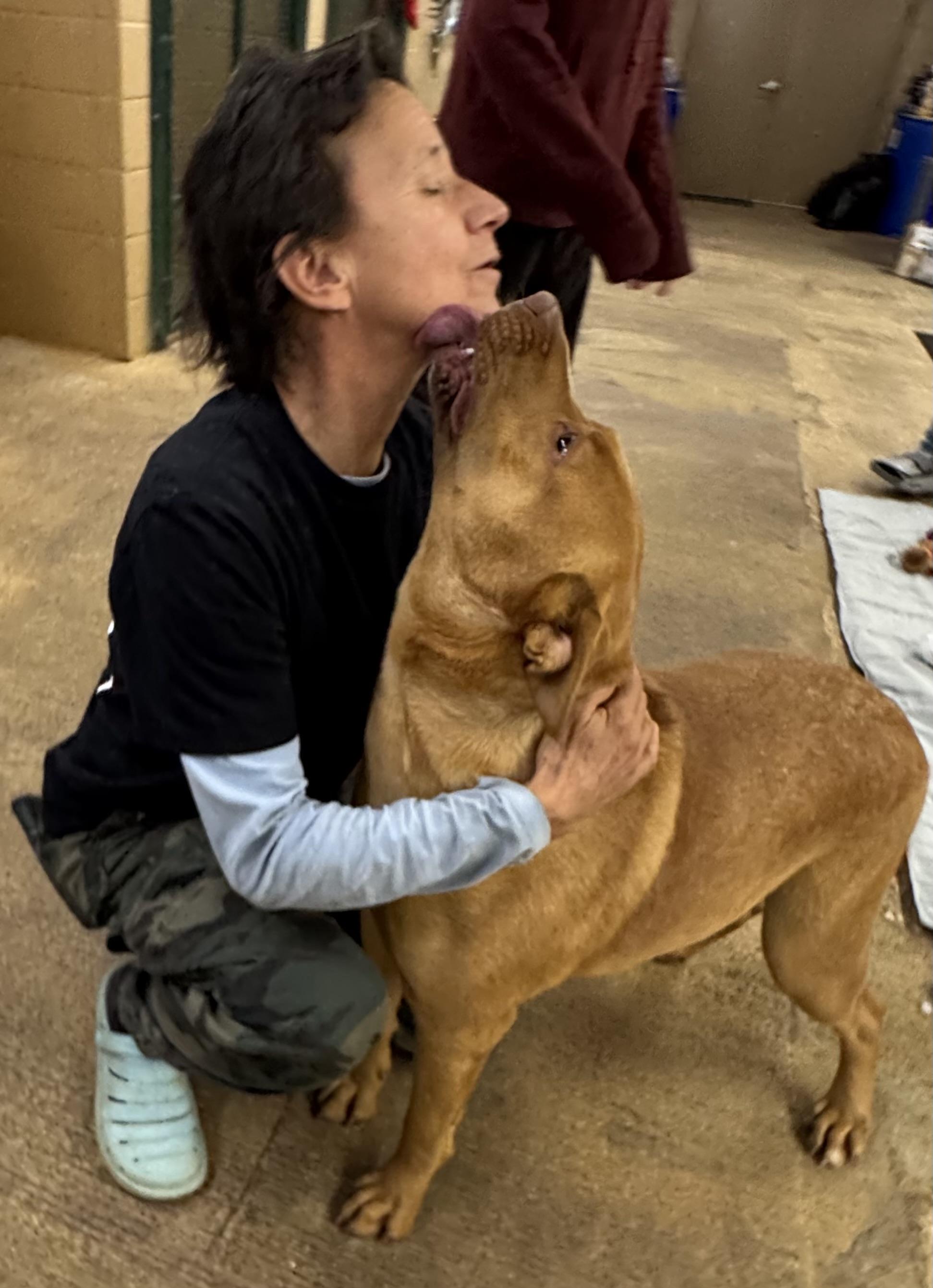 Wrangler thumbnail 2