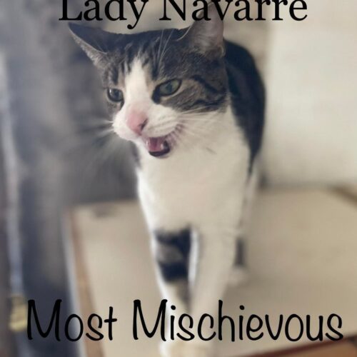 Lady — thumbnail 7