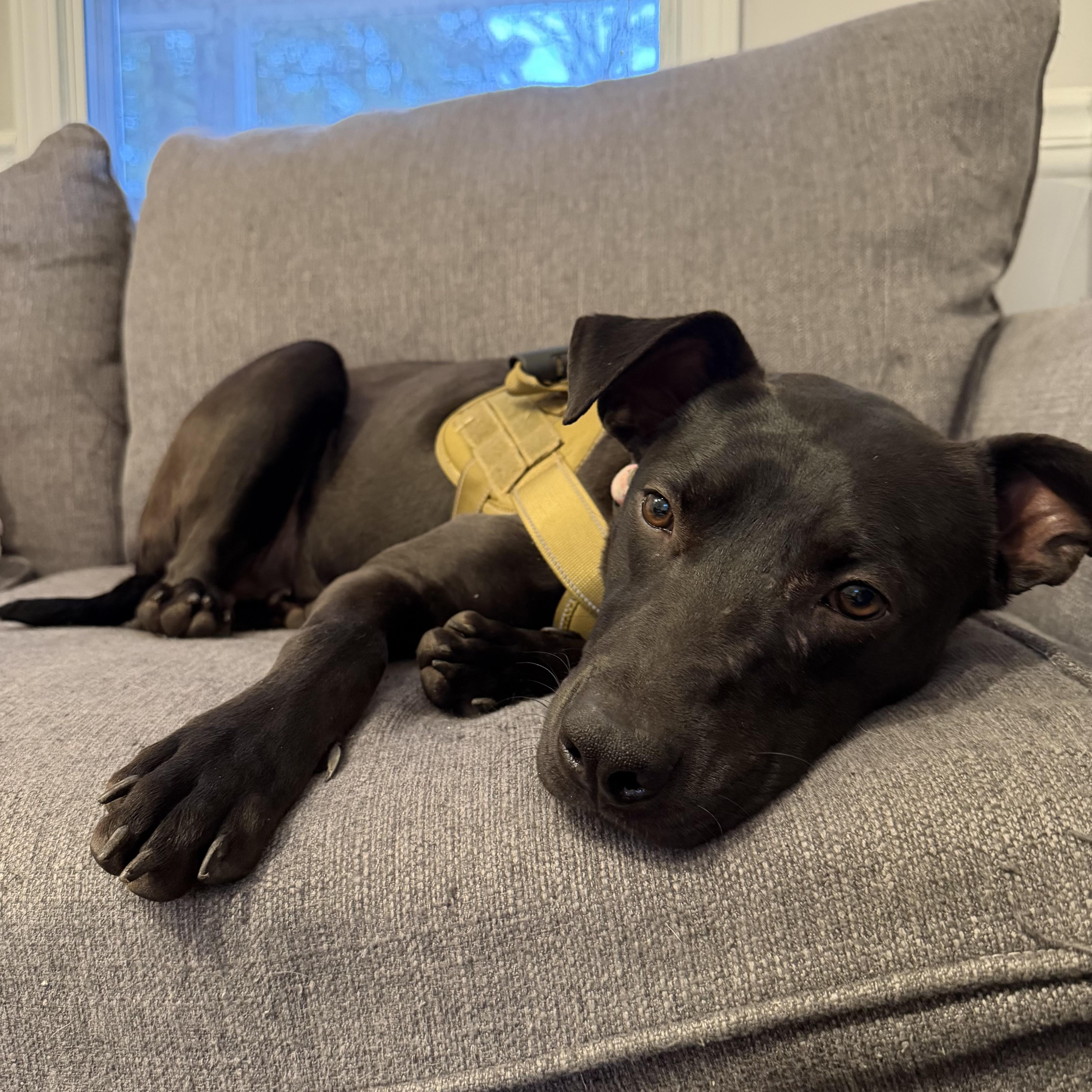 Five Points — thumbnail 2