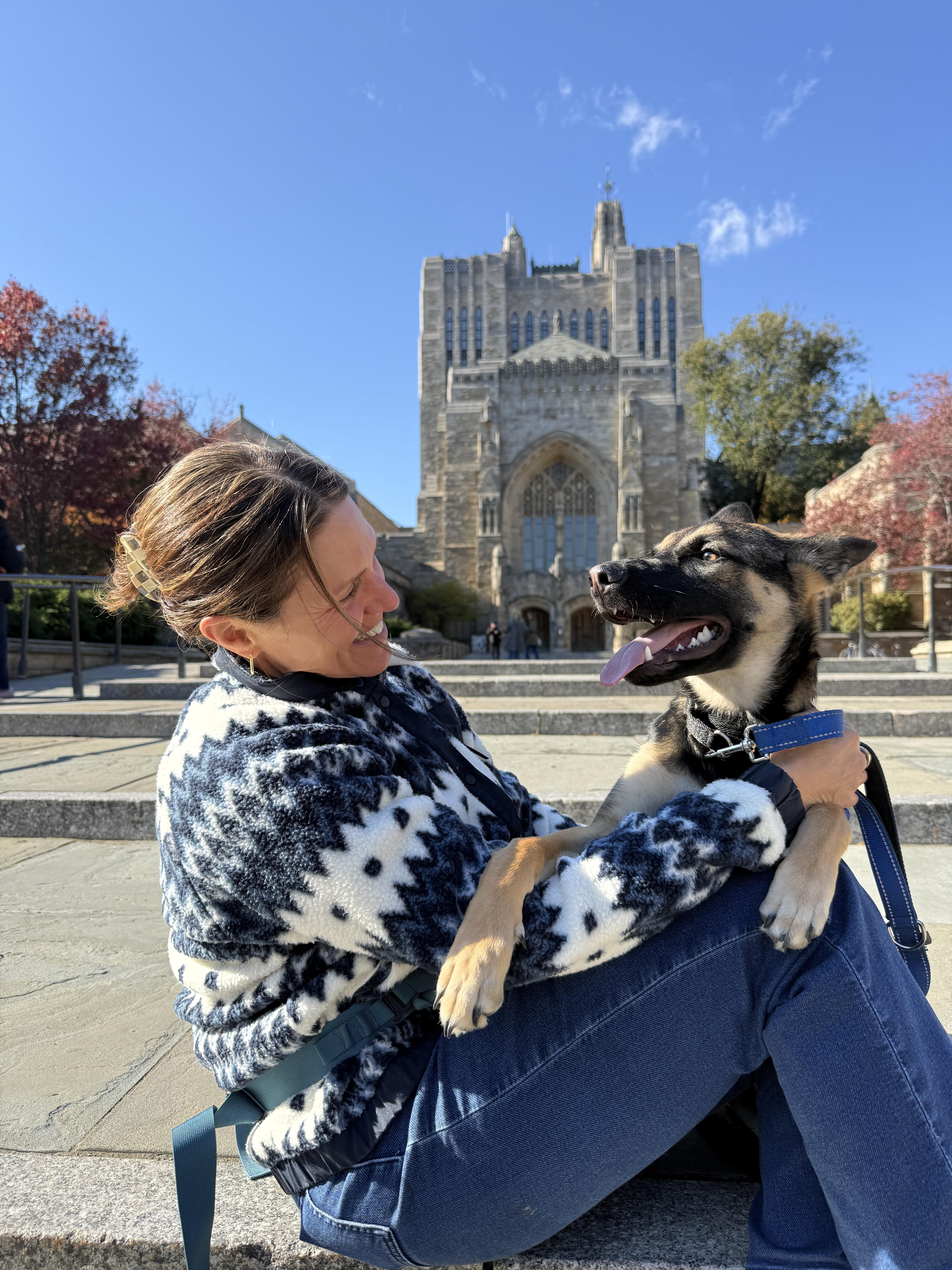 Enlarge Violet, a Adoptable mixed breed in Saugus, MA image 3/4
