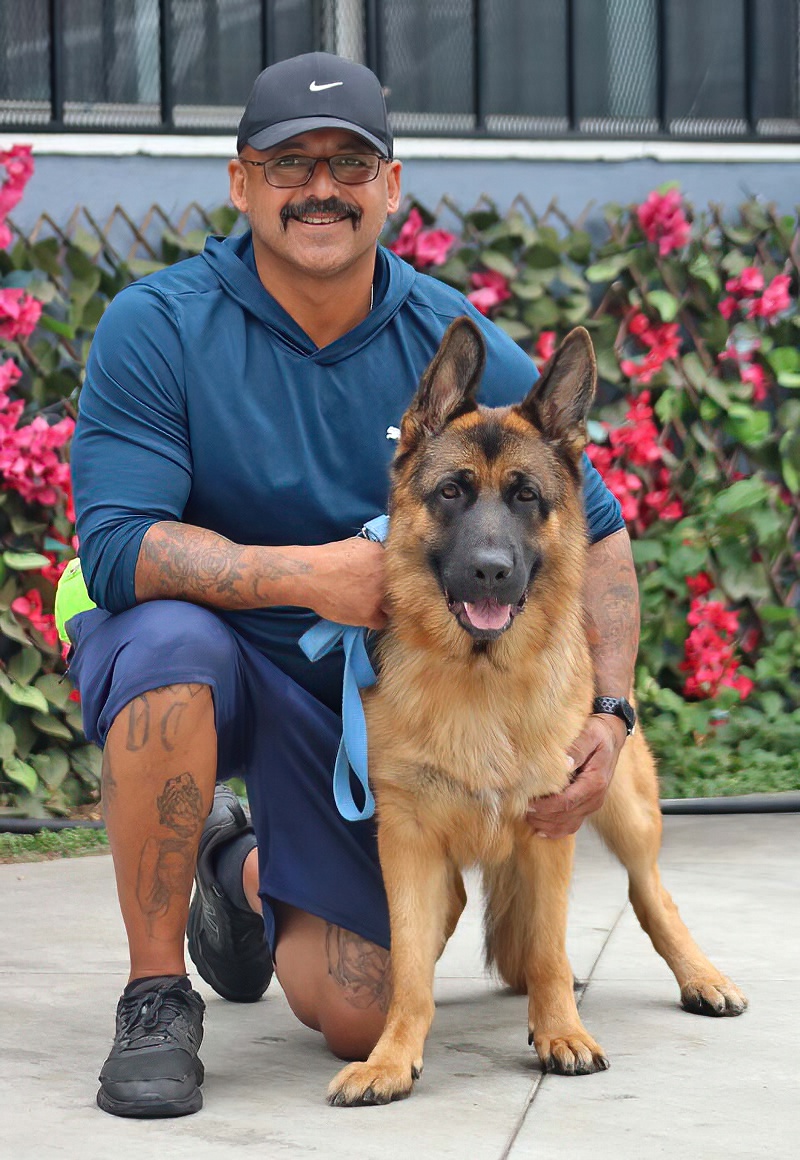 Enlarge Chester von Coswig, a Adoptable German Shepherd Dog in Los Angeles, CA image 4/6